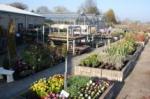 Barnby Nursery Centre Shop in Barnby, Beccles