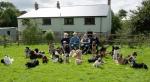 Barnlake House Boarding Kennels Cattery and Dog Training Centre Education in Burton, Milford Haven