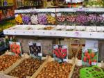 Henleaze Garden Shop Shop in Bristol