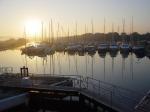 Island Harbour Marina Pub in Newport