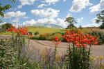 National Botanic Garden of Wales Attraction in Carmarthen