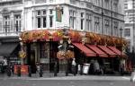 Red Lion Pub in Westminster, London