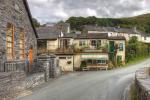 Tafarn Dwynant Inn Pub in Machynlleth