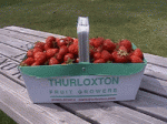 Thurloxton Fruit Growers Shop in Thurloxton, Taunton