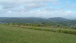 Tir Abbey Farm Attraction in Pontardawe, Swansea