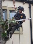 Tree Surgeon in Leeds (Arb Tech) star Home improvement in Leeds